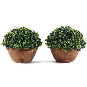 Plantas Suculentas Artificiales Pequeñas Bonsai